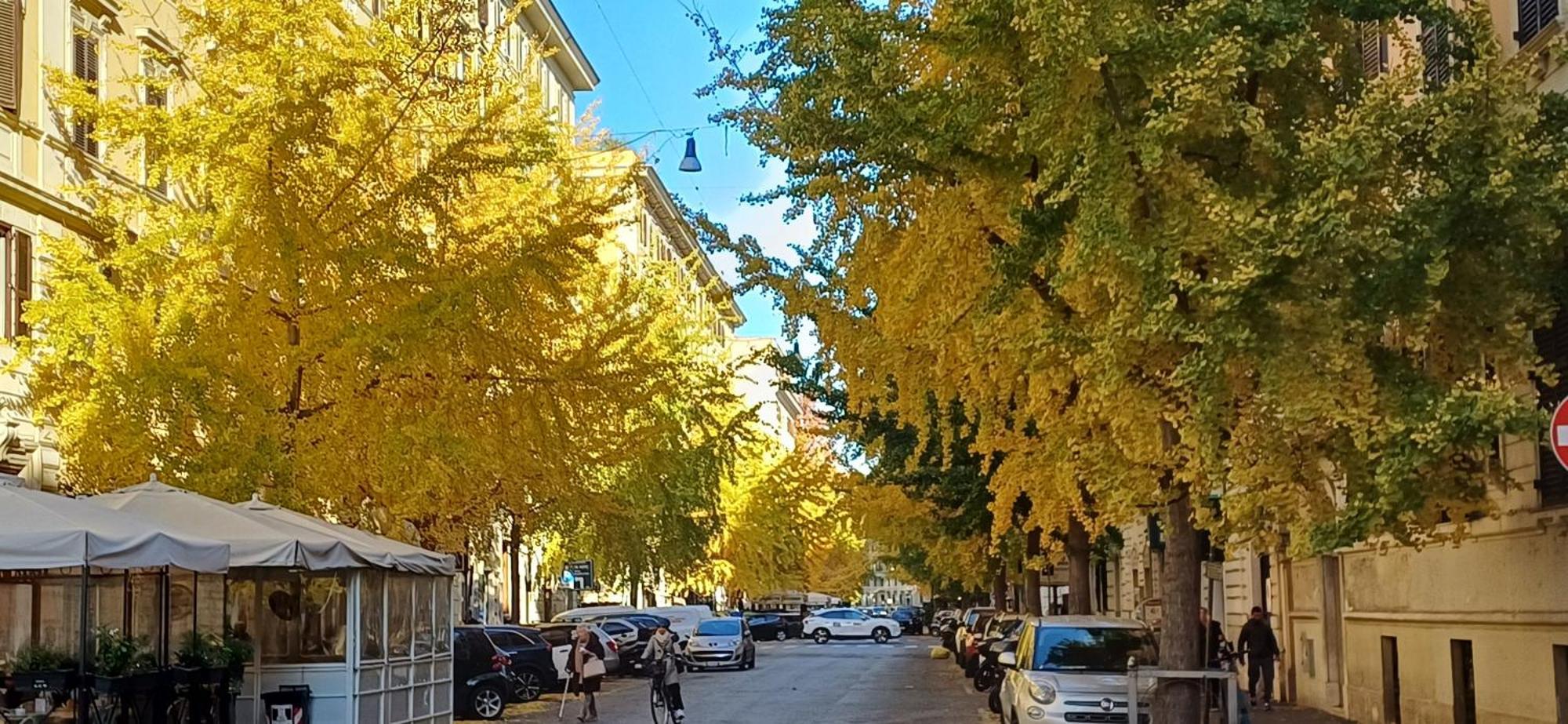 Apartamento La Casa Dei Papi 71 Roma Exterior foto